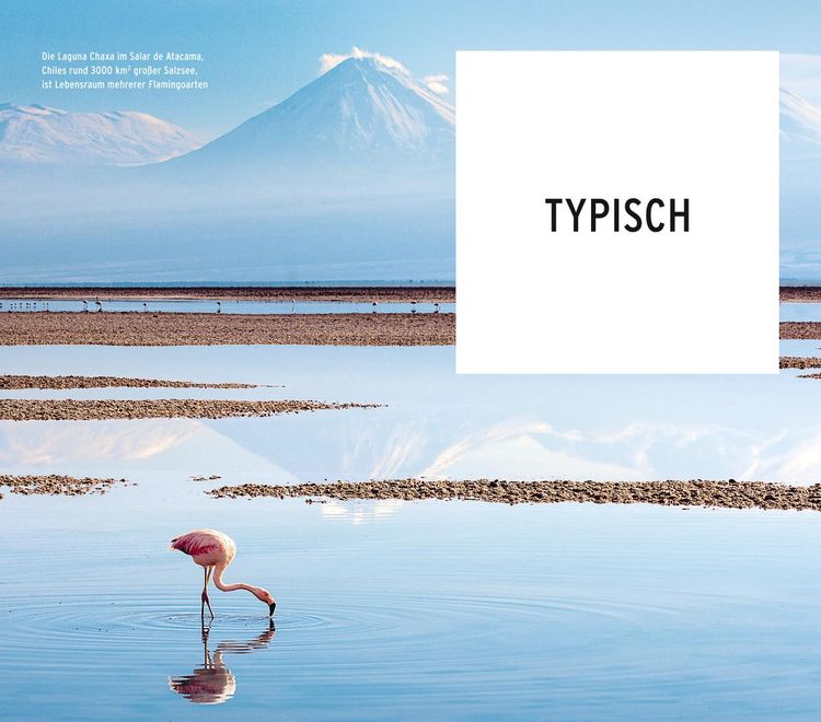 Produktbild: POLYGLOTT on tour Reisef&uuml;hrer Chile
