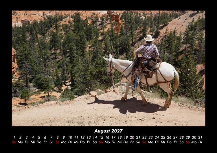 Produktbild: Die Welt der Pferde 2027 Fotokalender DIN A3