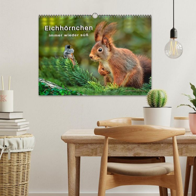 Produktbild: Eichh&ouml;rnchen - immer wieder s&uuml;&szlig; (Wandkalender 2026 DIN A3 quer), CALVENDO Monatskalender