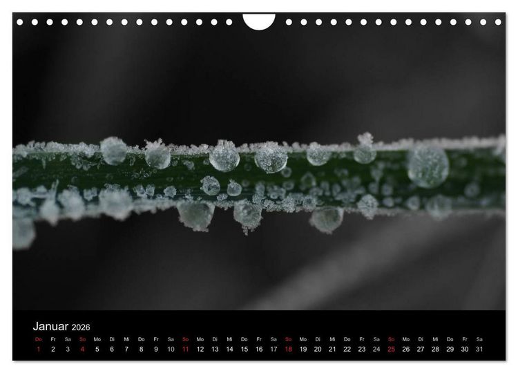 Produktbild: schwarz/wei&szlig; trifft farbe (Wandkalender 2026 DIN A4 quer), CALVENDO Monatskalender