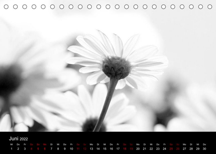 Produktbild: SchwarzWeiss gesehen (Tischkalender 2022 DIN A5 quer)