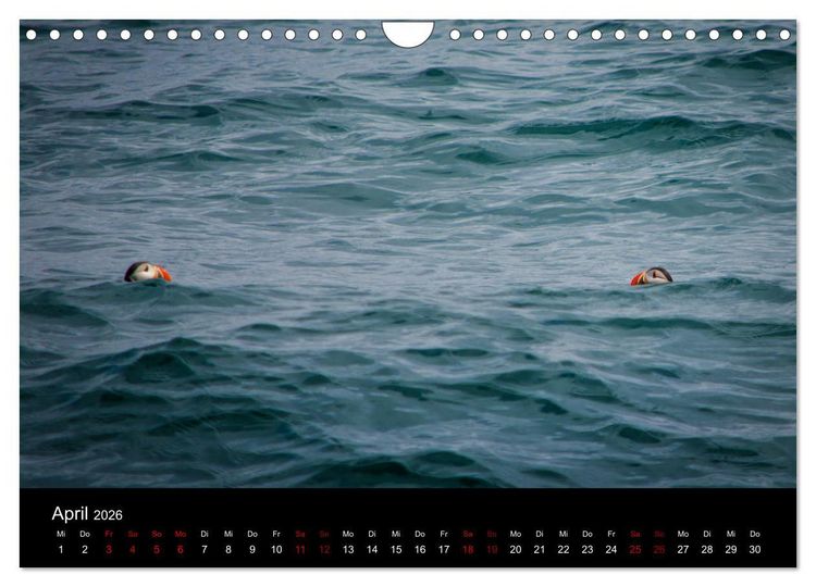 Produktbild: Island - Unber&uuml;hrte Landschaften (Wandkalender 2026 DIN A4 quer), CALVENDO Monatskalender