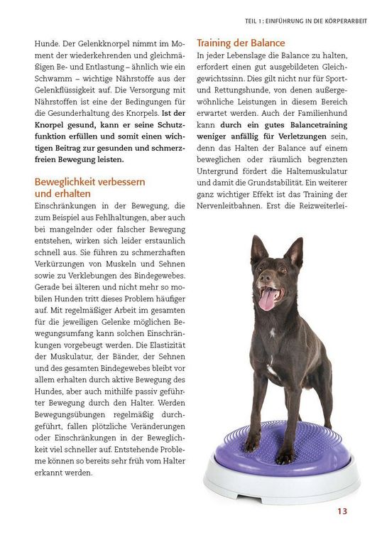 Produktbild: K&ouml;rperarbeit mit dem Hund