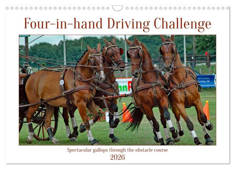 Produktbild: Four-in-hand Driving Challenge (Wall Calendar 2026 DIN A3 landscape), CALVENDO 12 Month Wall Calendar