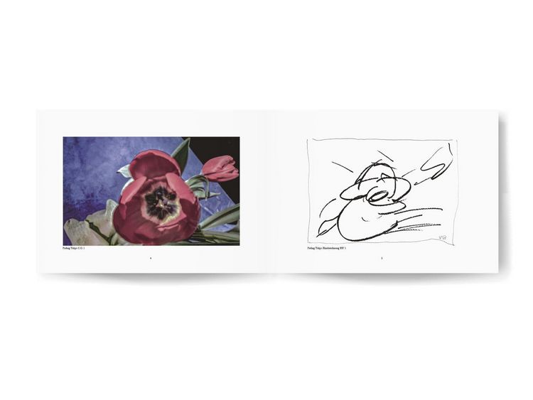 Produktbild: Fading Tulips