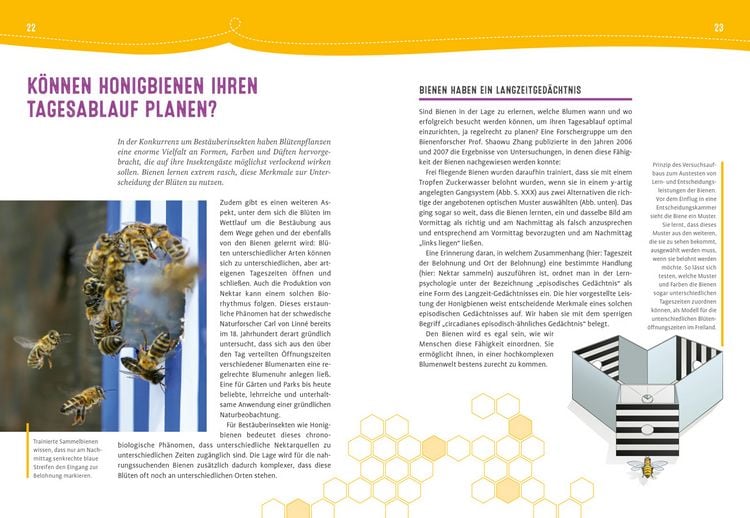 Produktbild: Auch Bienen haben Schwei&szlig;f&uuml;&szlig;e