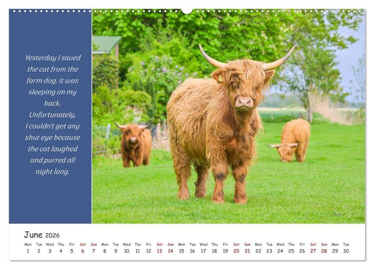 Produktbild: Animals like humour (Wall Calendar 2026 DIN A2 landscape), CALVENDO 12 Month Wall Calendar