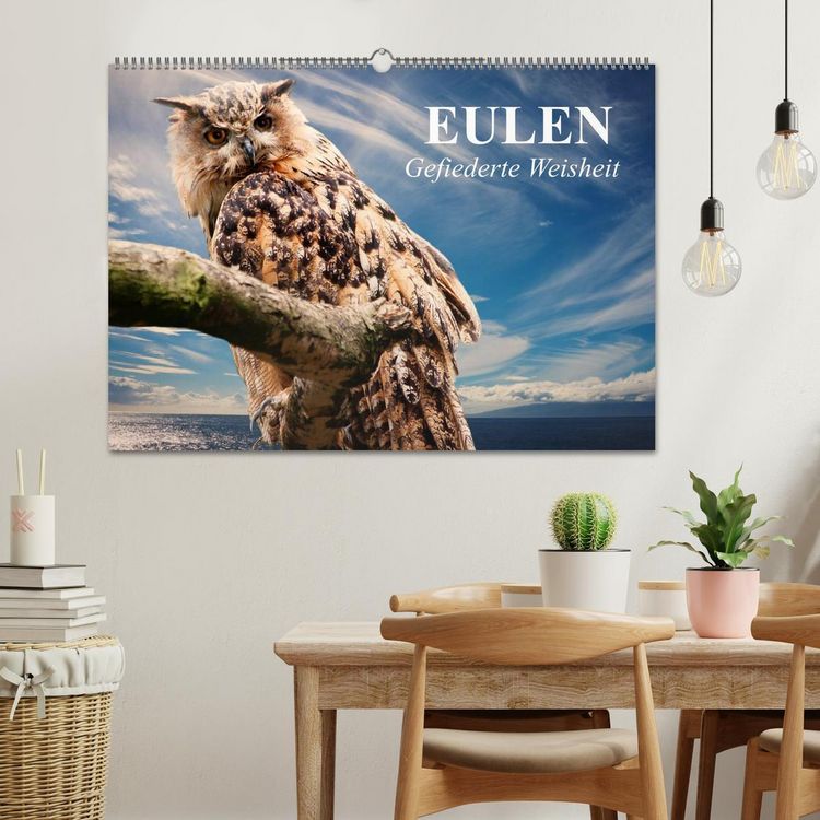 Produktbild: Eulen. Gefiederte Weisheit (Wandkalender 2026 DIN A2 quer), CALVENDO Monatskalender