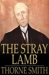 Produktbild: Stray Lamb