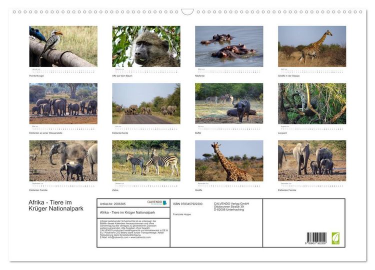 Produktbild: Afrika - Tiere im Kr&uuml;ger Nationalpark (Wandkalender 2026 DIN A2 quer), CALVENDO Monatskalender