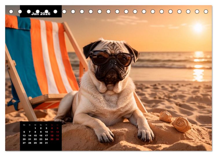 Produktbild: Mopszauber - S&uuml;&szlig;e M&ouml;pse begleiten durchs Jahr (Tischkalender 2026 DIN A5 quer), CALVENDO Monatskalender