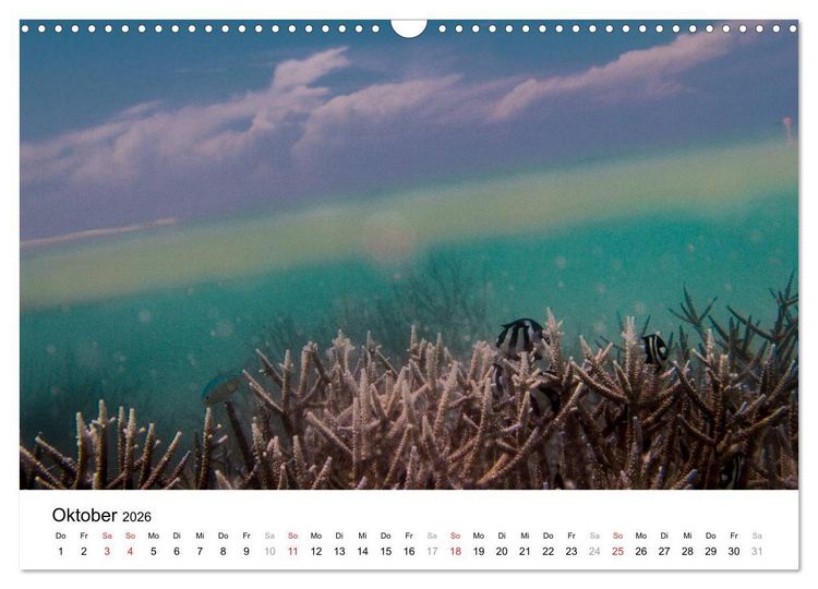 Produktbild: Unterwasserwelt der Malediven I (Wandkalender 2026 DIN A3 quer), CALVENDO Monatskalender