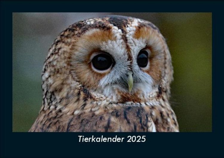 Produktbild: Tierkalender 2025 Fotokalender DIN A5