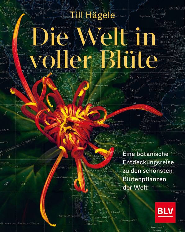 Produktbild: Die Welt in voller Bl&uuml;te: Eine botanische Entdeckungsreise zu den sch&ouml;nsten Bl&uuml;tenpflanzen der Welt