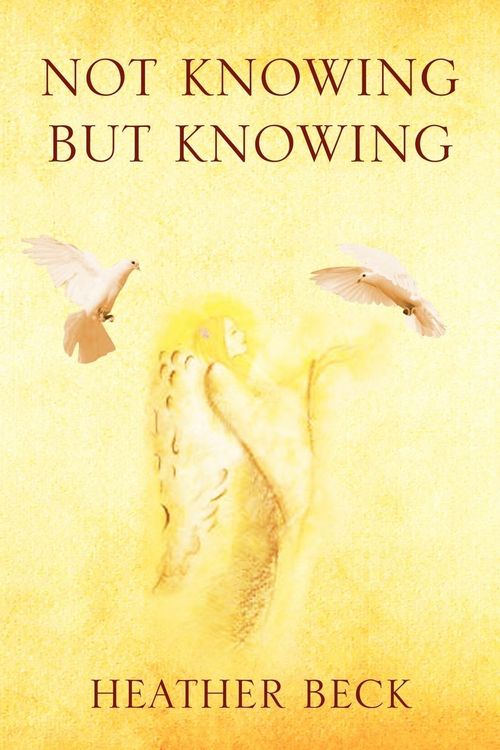 Produktbild: Not Knowing But Knowing