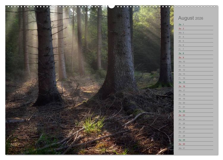 Produktbild: Planungskalender M&auml;rchenwald 2026 (hochwertiger Premium Wandkalender 2026 DIN A2 quer), Kunstdruck in Hochglanz