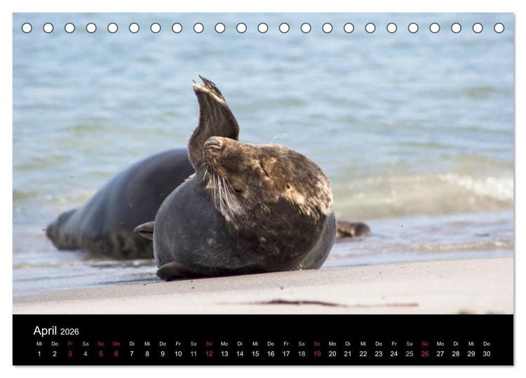 Produktbild: Helgoland - idyllische Nordseeinsel (Tischkalender 2026 DIN A5 quer), CALVENDO Monatskalender