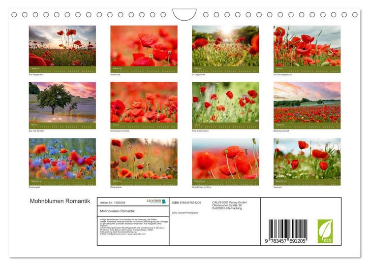 Produktbild: Mohnblumen Romantik (Wandkalender 2026 DIN A4 quer), CALVENDO Monatskalender