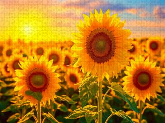 Produktbild: CALVENDO Puzzle Ein Motiv aus dem Kalender Meditation und innerer Frieden | 2000 Teile Lege-Gr&ouml;&szlig;e 90x67cm Foto-Puzzle f&uuml;r gl&uuml;ckliche Stunden