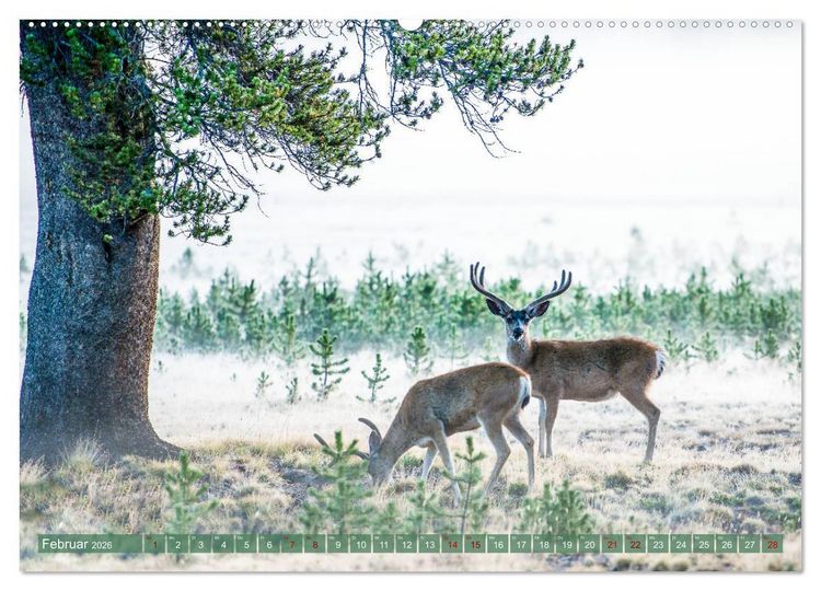 Produktbild: Atemberaubendes Amerika - Die sch&ouml;nsten Nationalparks im Westen der USA (Wandkalender 2026 DIN A2 quer), CALVENDO Monatskalender