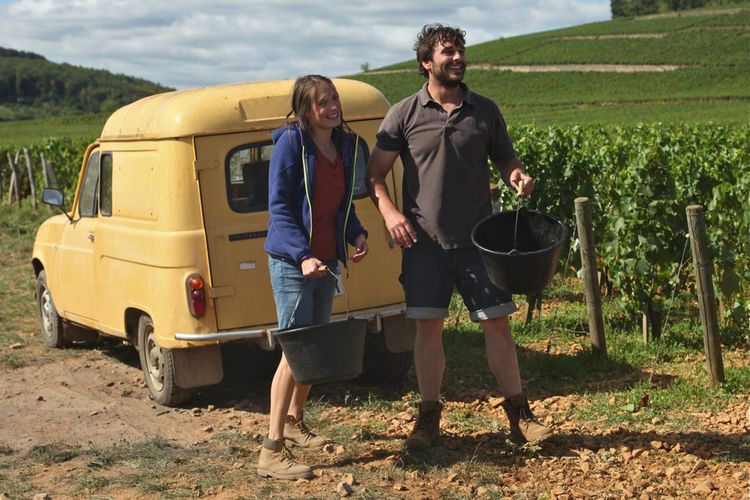Produktbild: Der Wein und der Wind