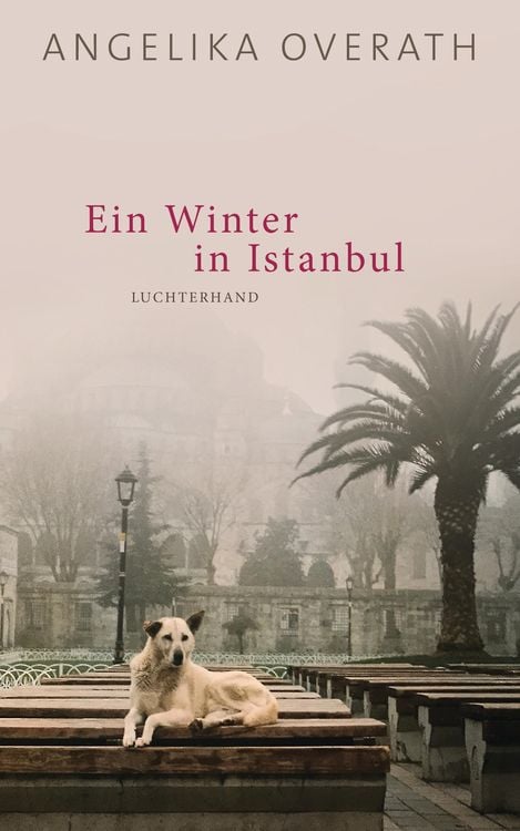 Produktbild: Ein Winter in Istanbul