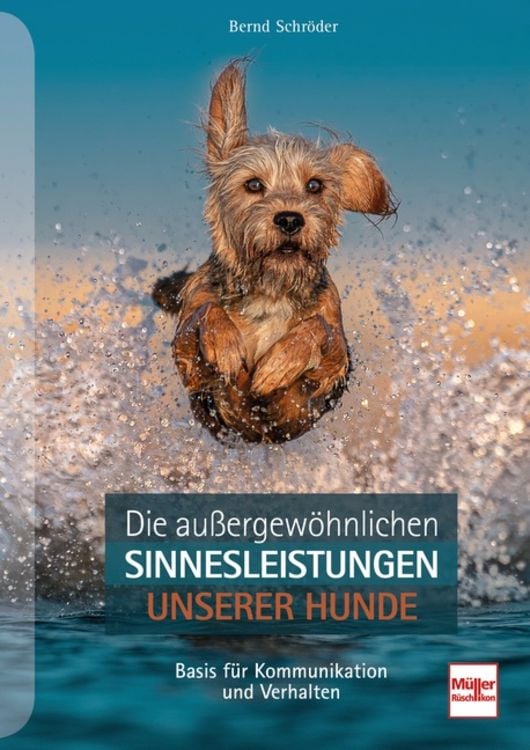Produktbild: Die au&szlig;ergew&ouml;hnlichen Sinnesleistungen unserer Hunde
