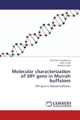 Produktbild: Jayakumar, S: Molecular characterization of SRY gene in Murr