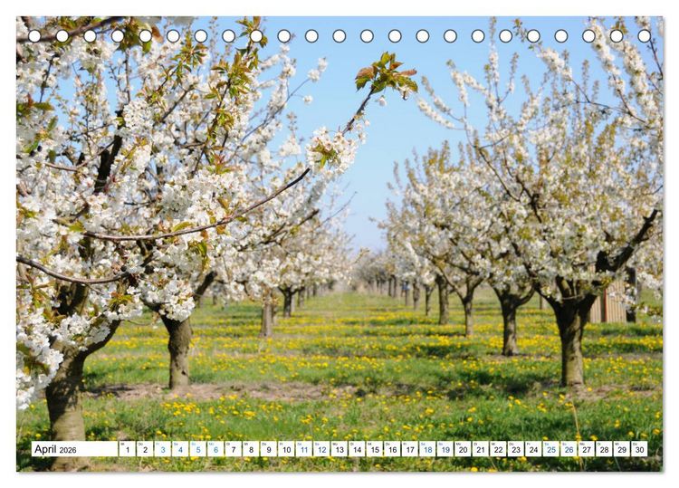 Produktbild: Land Brandenburg - Natur und Erholung im m&auml;rkischen Land (Tischkalender 2026 DIN A5 quer), CALVENDO Monatskalender