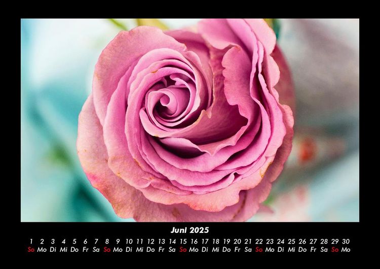 Produktbild: Rosen-Kalender 2025 Fotokalender DIN A3