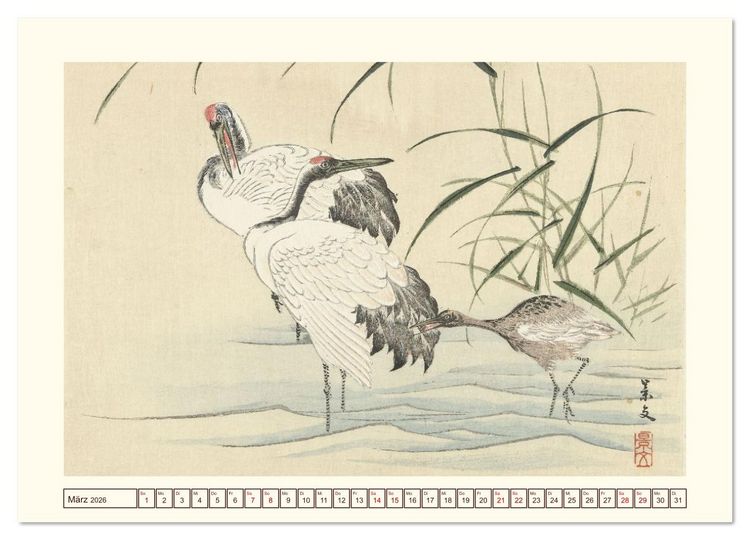 Produktbild: Bl&uuml;te und Feder (Wandkalender 2026 DIN A2 quer), CALVENDO Monatskalender
