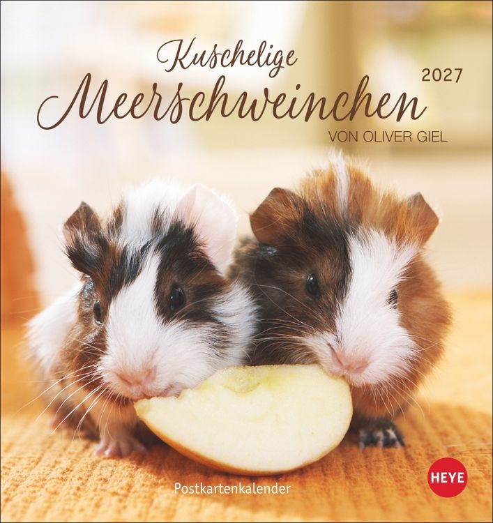 Produktbild: Kuschelige Meerschweinchen Postkartenkalender 2027