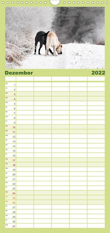 Produktbild: Familienplaner Labrador Trio - 3 Farben, 3 Freunde (Wandkalender 2022 , 21 cm x 45 cm, hoch)