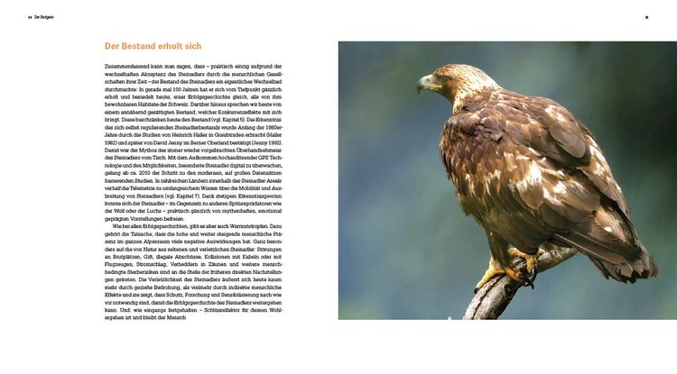 Produktbild: Der Steinadler
