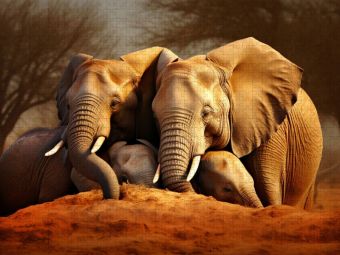 Produktbild: CALVENDO Puzzle Ein Motiv aus dem Kalender "Wenn sie schlafen" | 2000 Teile Lege-Gr&ouml;&szlig;e 90x67cm Foto-Puzzle f&uuml;r gl&uuml;ckliche Stunden
