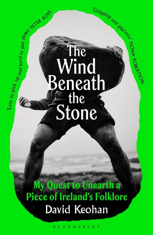 Produktbild: The Wind Beneath the Stone