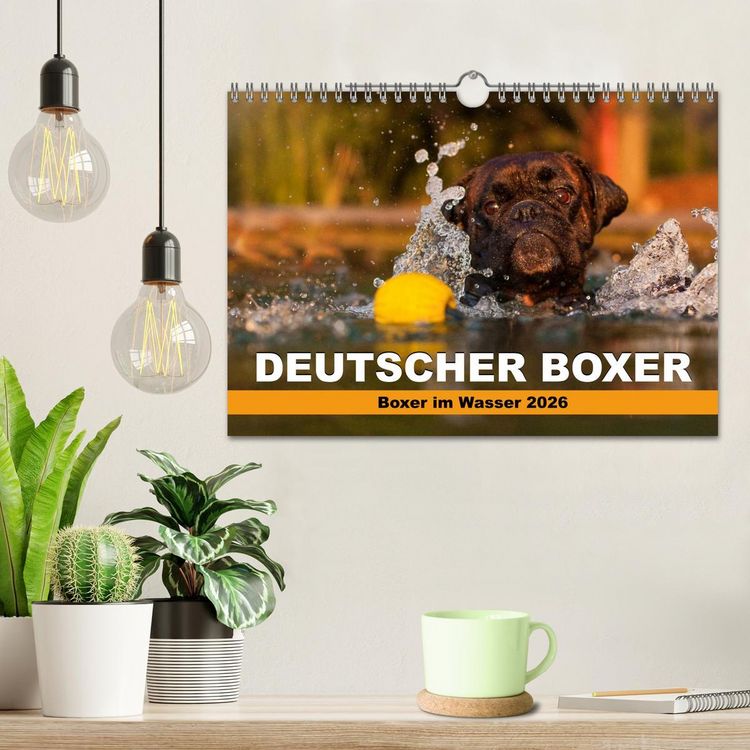 Produktbild: Deutscher Boxer - Boxer im Wasser 2026 (Wandkalender 2026 DIN A4 quer), CALVENDO Monatskalender