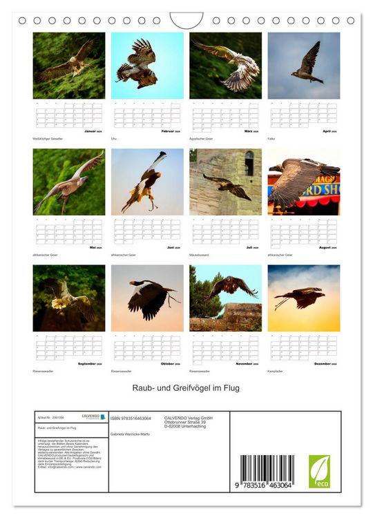 Produktbild: Raub- und Greifv&ouml;gel im Flug (Wandkalender 2026 DIN A4 hoch), CALVENDO Monatskalender