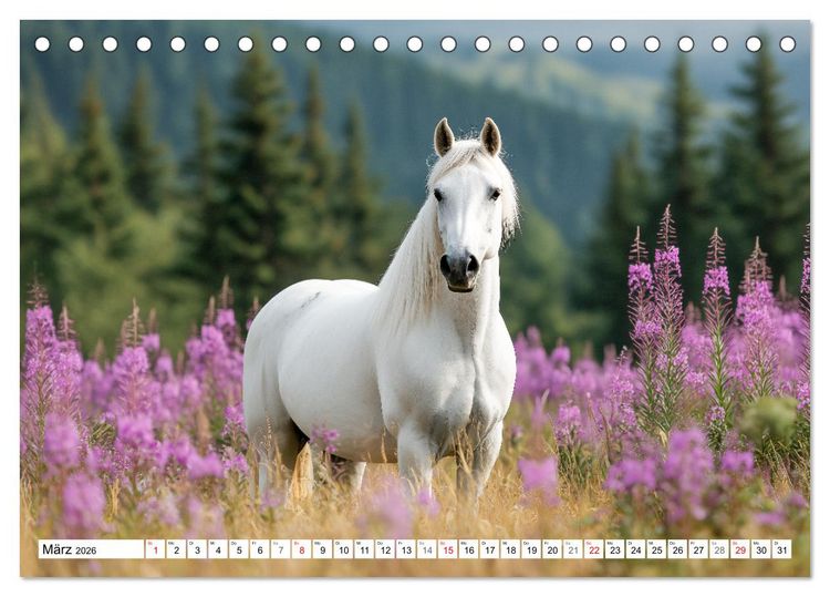 Produktbild: Pferde in freier Natur (Tischkalender 2026 DIN A5 quer), CALVENDO Monatskalender