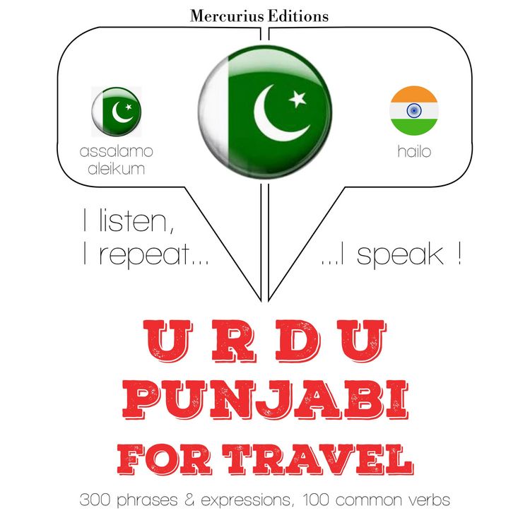 Produktbild: Travel words and phrases in Punjabi