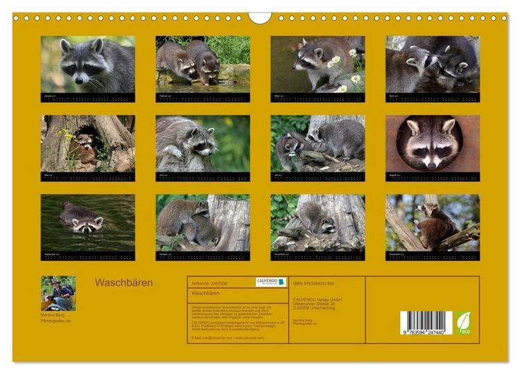 Produktbild: Waschb&auml;ren (Wandkalender 2027 DIN A3 quer), CALVENDO Monatskalender