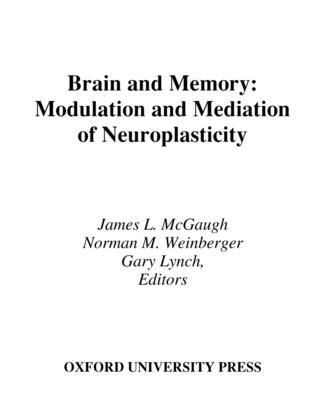 Produktbild: Brain and Memory