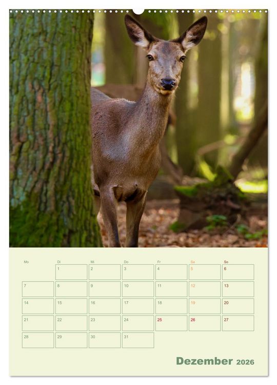 Produktbild: Waldmomente (hochwertiger Premium Wandkalender 2026 DIN A2 hoch), Kunstdruck in Hochglanz
