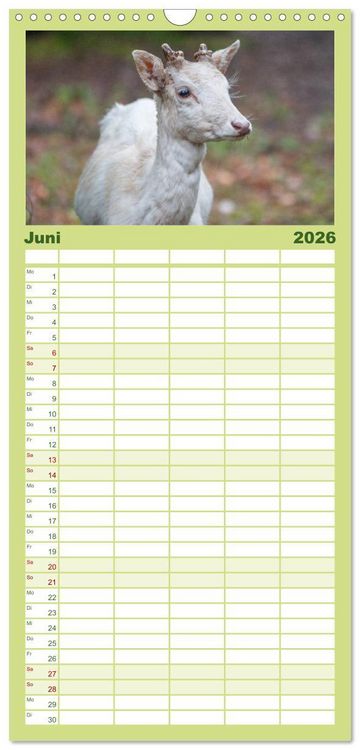 Produktbild: Familienplaner 2026 - Heimische Tiere - Rehe mit 5 Spalten (Wandkalender, 21 x 45 cm) CALVENDO