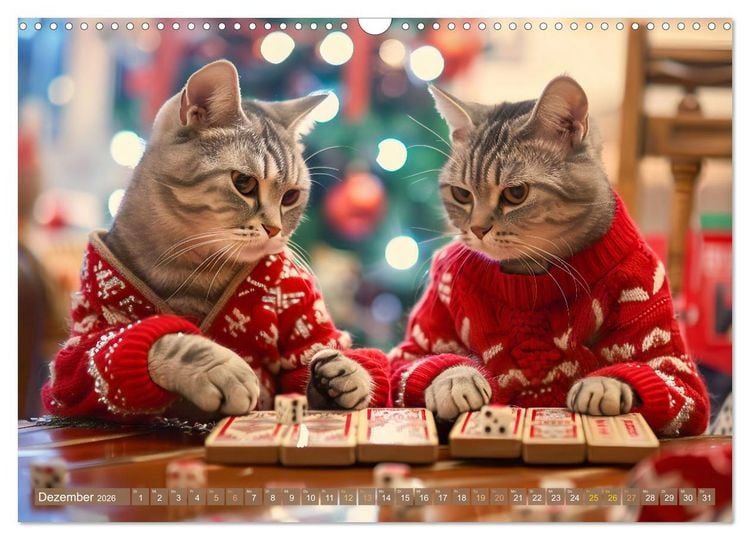 Produktbild: Katzen-Alltag - Ein witziges Jahr mit Kater Tommy (Wandkalender 2026 DIN A3 quer), CALVENDO Monatskalender