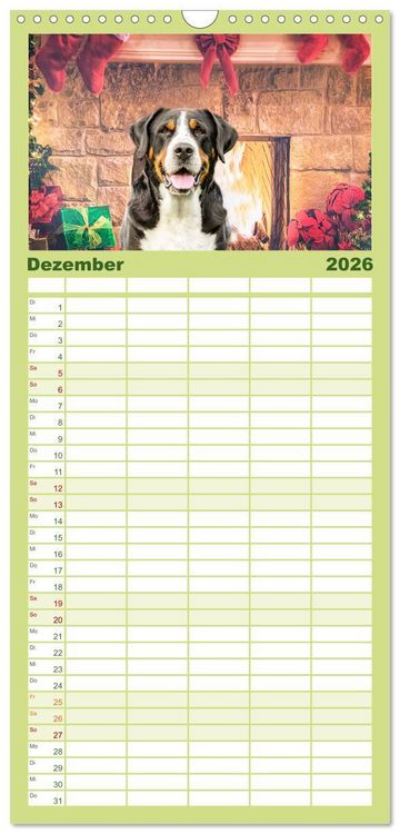 Produktbild: Familienplaner 2026 - Gro&szlig;e Schweizer - Gigantische Sennenhunde mit 5 Spalten (Wandkalender, 21 x 45 cm) CALVENDO