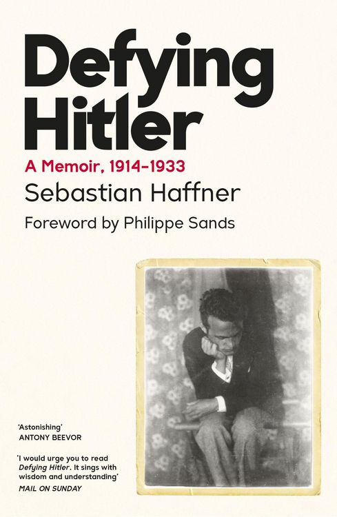 Produktbild: Defying Hitler