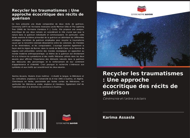 Produktbild: Recycler les traumatismes : Une approche &eacute;cocritique des r&eacute;cits de gu&eacute;rison