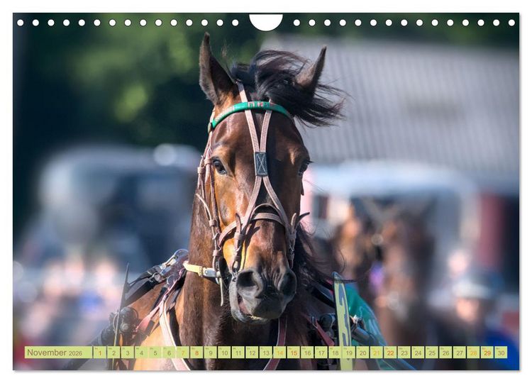 Produktbild: Rennpferde - Gesichter erz&auml;hlen (Wandkalender 2026 DIN A4 quer), CALVENDO Monatskalender