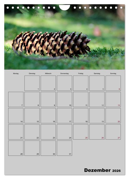 Produktbild: Zeitgewinn (Mein Terminplaner) (Wandkalender 2026 DIN A4 hoch), CALVENDO Monatskalender